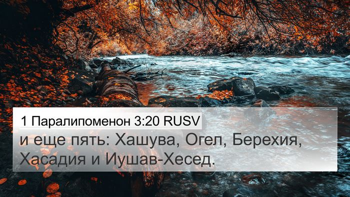 1 Паралипоменон 3:20 RUSV 4K Wallpaper - и еще пять: Хашува, Огел, - 4K Wallpaper Bible Verse