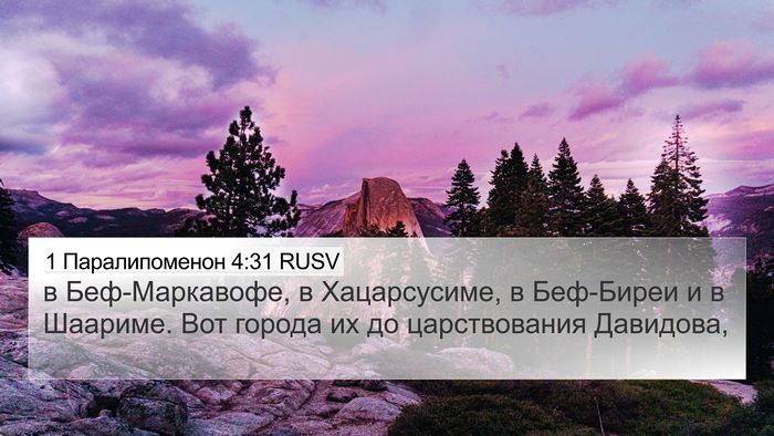 1 Паралипоменон 4:31 RUSV Bible Verse Image