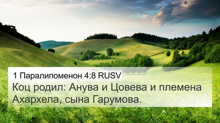 1 Паралипоменон 4:8 RUSV 4K Wallpaper - Коц родил: Анува и Цовева и - 4K Wallpaper Bible Verse