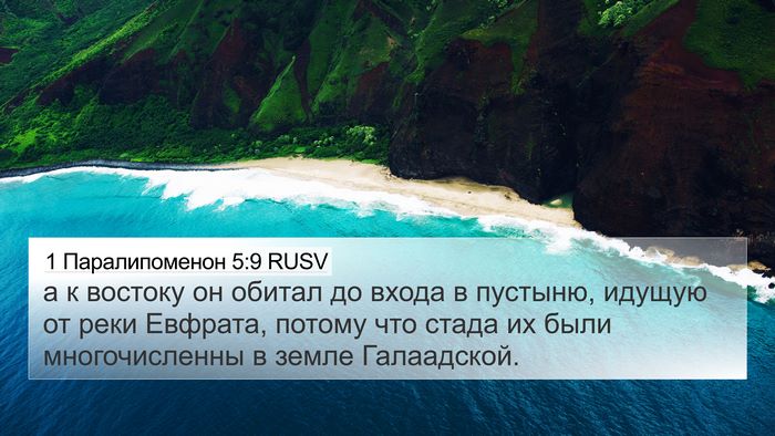 1 Паралипоменон 5:9 RUSV Bible Verse Image