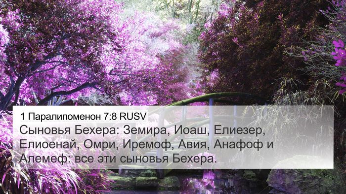 1 Паралипоменон 7:8 RUSV 4K Wallpaper - Сыновья Бехера: Земира, - 4K Wallpaper Bible Verse