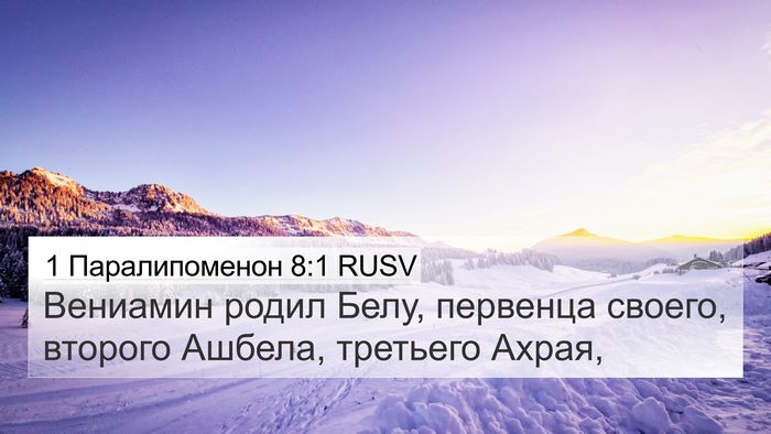 1 Паралипоменон 8:1 RUSV Bible Verse Image