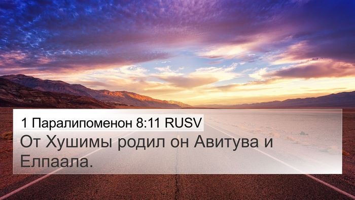 1 Паралипоменон 8:11 RUSV 4K Wallpaper - От Хушимы родил он Авитува - 4K Wallpaper Bible Verse