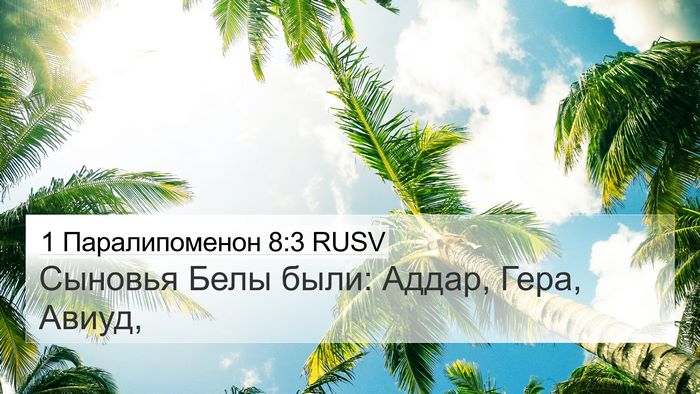 1 Паралипоменон 8:3 RUSV Bible Verse Image