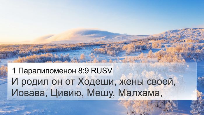 1 Паралипоменон 8:9 RUSV 4K Wallpaper - И родил он от Ходеши, жены - 4K Wallpaper Bible Verse