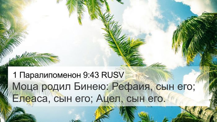 1 Паралипоменон 9:43 RUSV Bible Verse Image