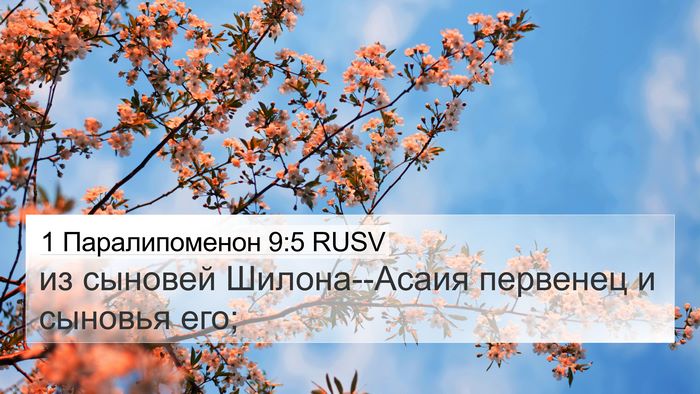 1 Паралипоменон 9:5 RUSV Bible Verse Image