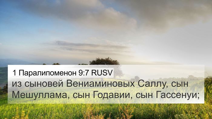 1 Паралипоменон 9:7 RUSV Bible Verse Image