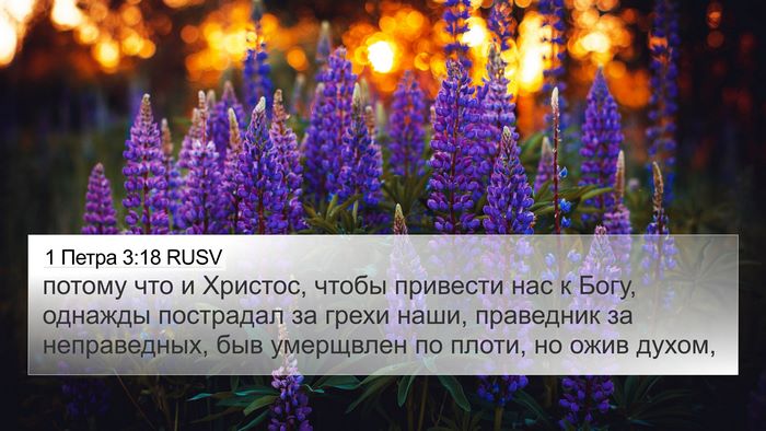 1 Петра 3:18 RUSV Bible Verse Image