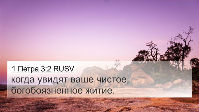 1 Петра 3:2 RUSV Bible Verse Image
