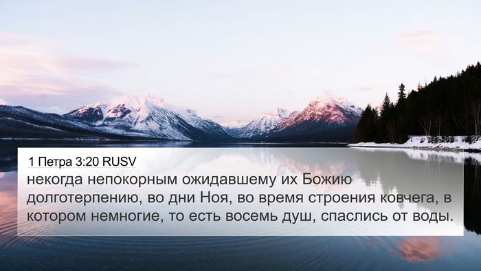 1 Петра 3:20 RUSV Bible Verse Image