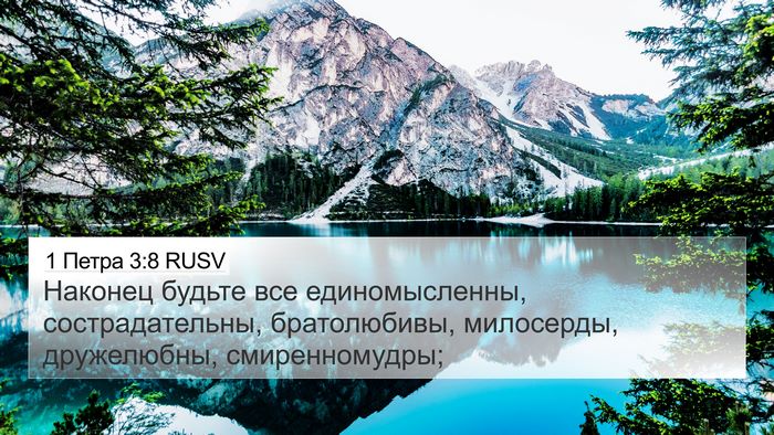 1 Петра 3:8 RUSV Bible Verse Image