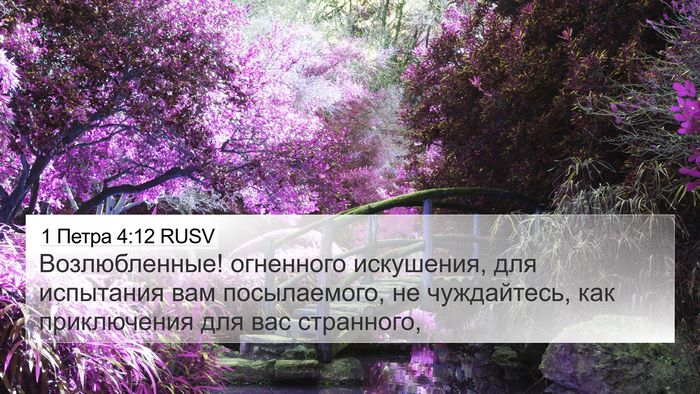 1 Петра 4:12 RUSV Bible Verse Image