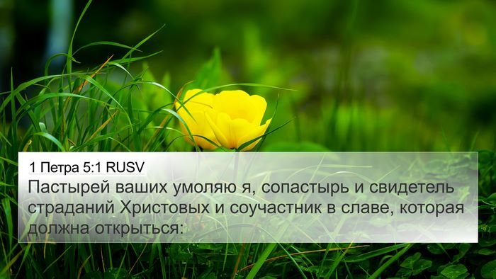 1 Петра 5:1 RUSV Bible Verse Image