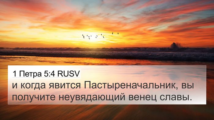 1 Петра 5:4 RUSV Bible Verse Image