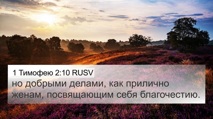 1 Тимофею 2:10 RUSV 4K Wallpaper - но добрыми делами, как - 4K Wallpaper Bible Verse