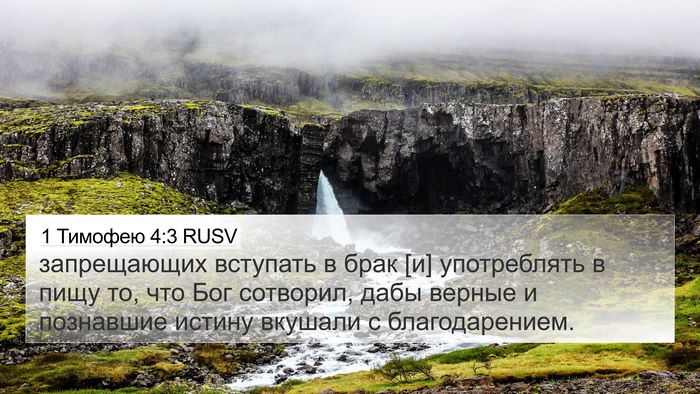 1 Тимофею 4:3 RUSV 4K Wallpaper - запрещающих вступать в - 4K Wallpaper Bible Verse