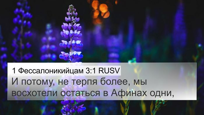 1 Фессалоникийцам 3:1 RUSV 4K Wallpaper - И потому, не терпя более, мы - 4K Wallpaper Bible Verse