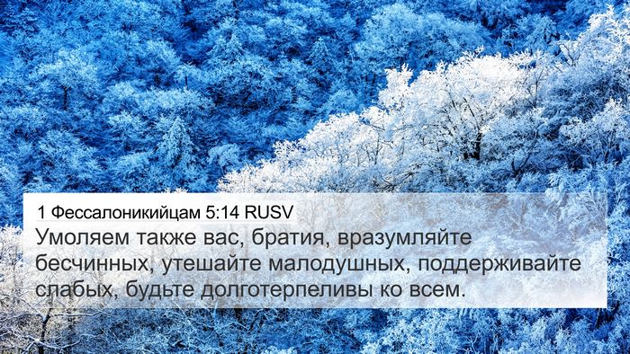 1 Фессалоникийцам 5:14 RUSV Bible Verse Image