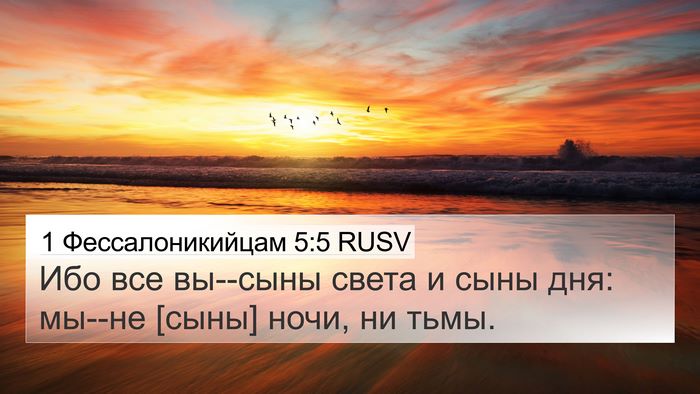 1 Фессалоникийцам 5:5 RUSV Bible Verse Image