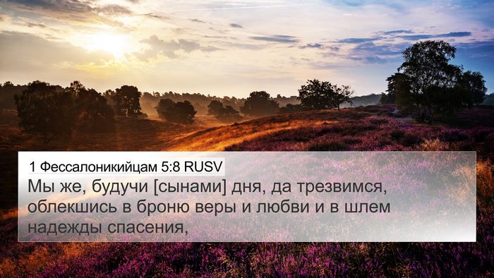 1 Фессалоникийцам 5:8 RUSV Bible Verse Image