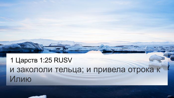 1 Царств 1:25 RUSV 4K Wallpaper - и закололи тельца; и - 4K Wallpaper Bible Verse