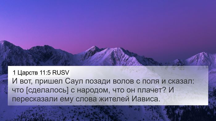 1 Царств 11:5 RUSV 4K Wallpaper - И вот, пришел Саул позади - 4K Wallpaper Bible Verse