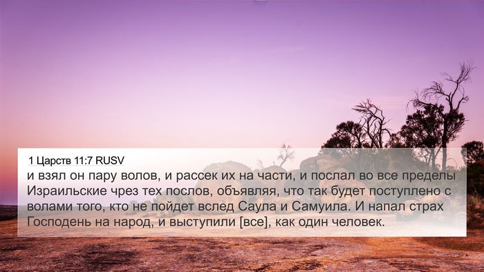 1 Царств 11:7 RUSV 4K Wallpaper - и взял он пару волов, и - 4K Wallpaper Bible Verse