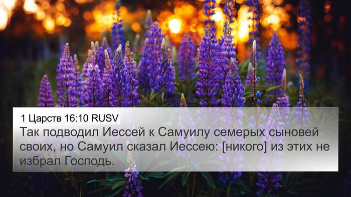 1 Царств 16:10 RUSV 4K Wallpaper - Так подводил Иессей к - 4K Wallpaper Bible Verse