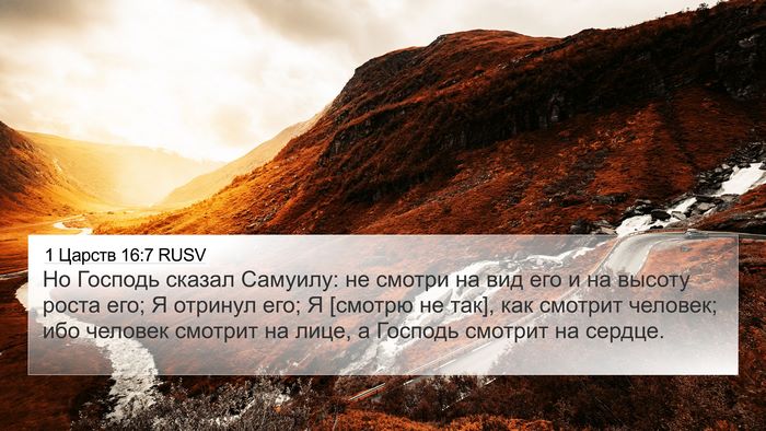 1 Царств 16:7 RUSV Bible Verse Image