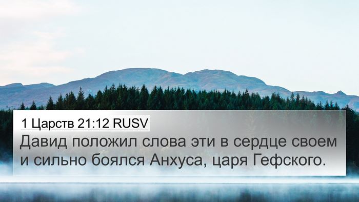 1 Царств 21:12 RUSV 4K Wallpaper - Давид положил слова эти в - 4K Wallpaper Bible Verse