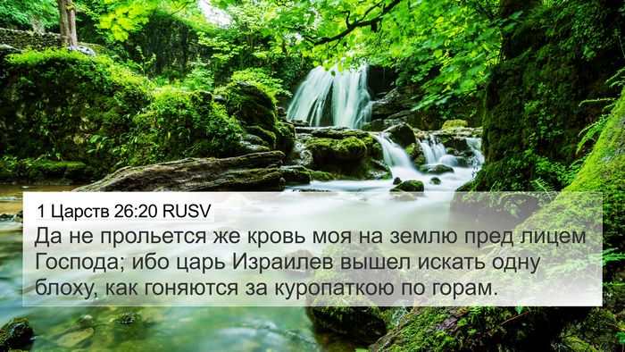 1 Царств 26:20 RUSV Bible Verse Image