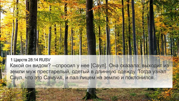 1 Царств 28:14 RUSV Bible Verse Image