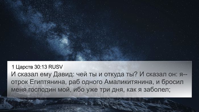 1 Царств 30:13 RUSV Bible Verse Image