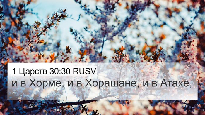 1 Царств 30:30 RUSV 4K Wallpaper - и в Хорме, и в Хорашане, и в - 4K Wallpaper Bible Verse