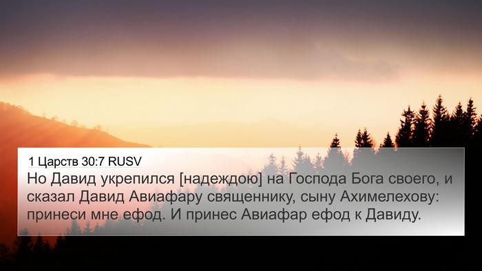 1 Царств 30:7 RUSV Bible Verse Image