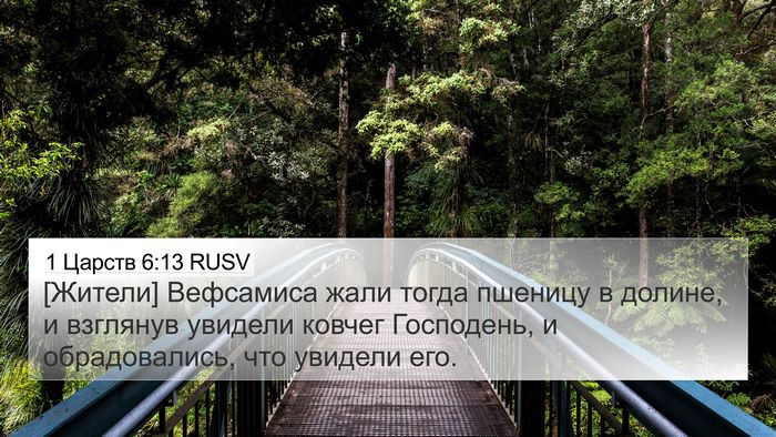 1 Царств 6:13 RUSV 4K Wallpaper - [Жители] Вефсамиса жали - 4K Wallpaper Bible Verse