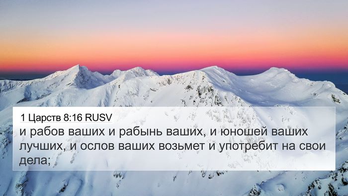 1 Царств 8:16 RUSV 4K Wallpaper - и рабов ваших и рабынь - 4K Wallpaper Bible Verse