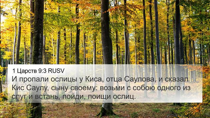 1 Царств 9:3 RUSV Bible Verse Image