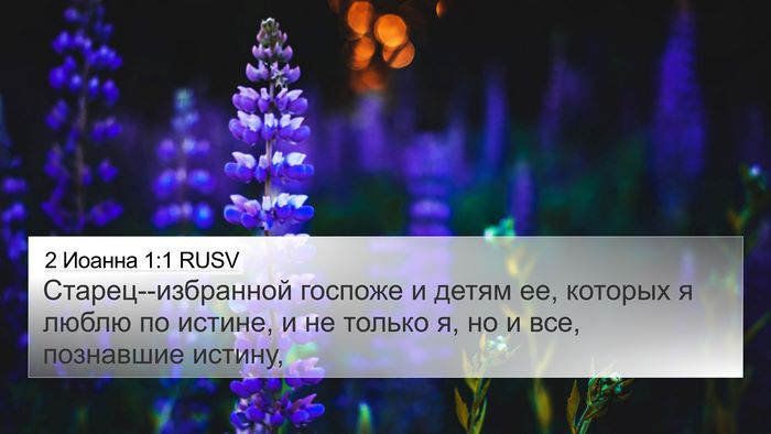 2 Иоанна 1:1 RUSV Bible Verse Image
