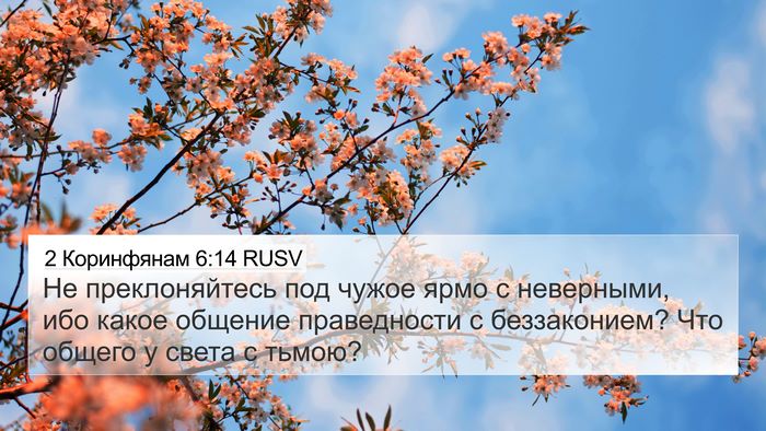 2 Коринфянам 6:14 RUSV Bible Verse Image