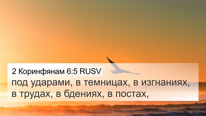 2 Коринфянам 6:5 RUSV Bible Verse Image