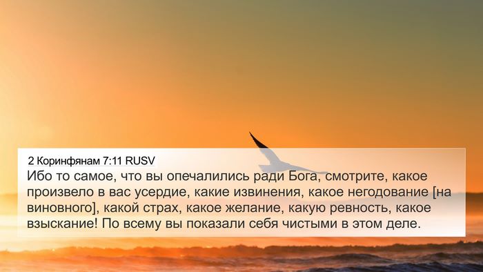 2 Коринфянам 7:11 RUSV Bible Verse Image