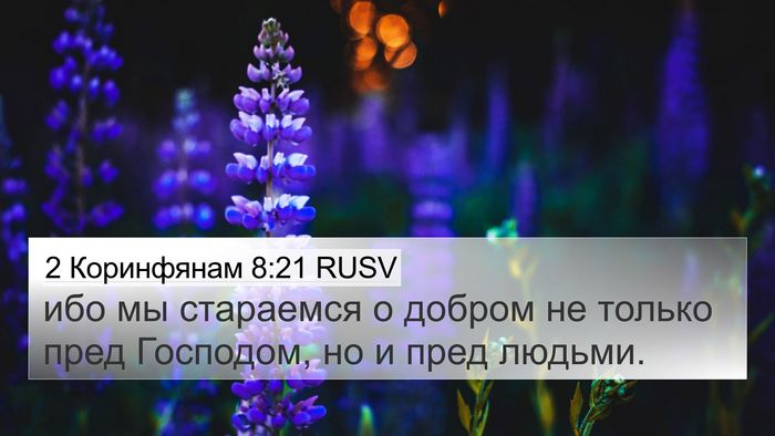 2 Коринфянам 8:21 RUSV Bible Verse Image