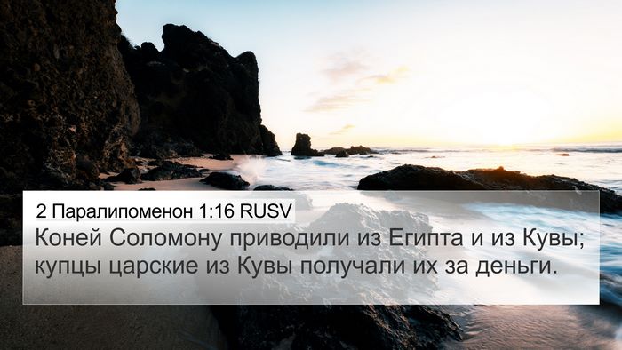 2 Паралипоменон 1:16 RUSV 4K Wallpaper - Коней Соломону приводили - 4K Wallpaper Bible Verse