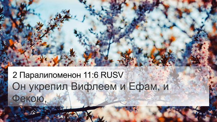 2 Паралипоменон 11:6 RUSV Bible Verse Image