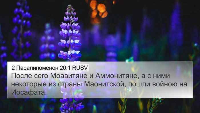 2 Паралипоменон 20:1 RUSV Bible Verse Image