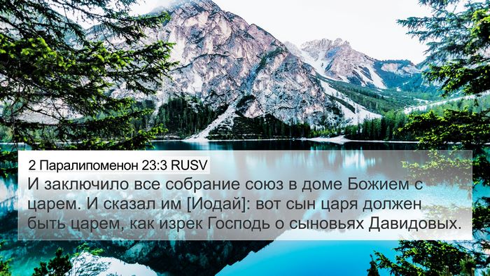 2 Паралипоменон 23:3 RUSV Bible Verse Image