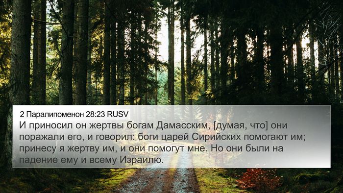 2 Паралипоменон 28:23 RUSV Bible Verse Image