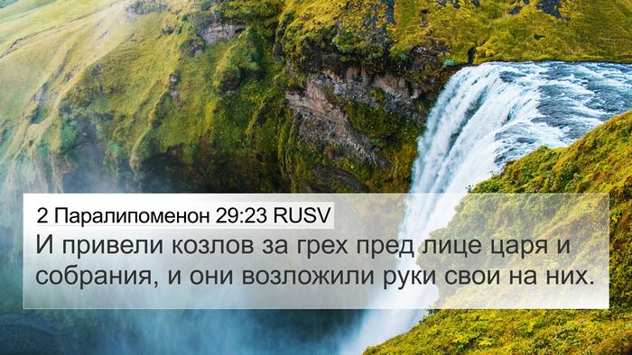 2 Паралипоменон 29:23 RUSV Bible Verse Image